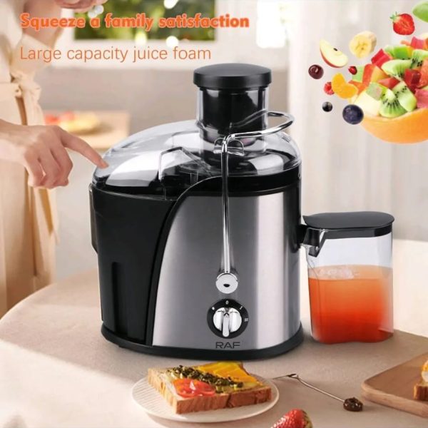 RAF R.2805 Electric Carrot Juicer hard fruit juicer extractor 500 watts, 18000 RPM motor speed